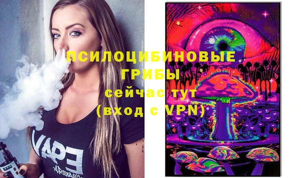 шишки Кодинск