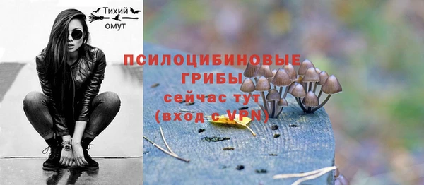 шишки Кодинск