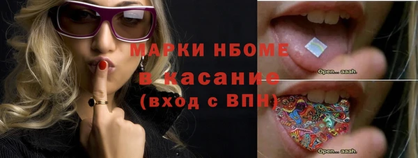 молекула духа Козельск