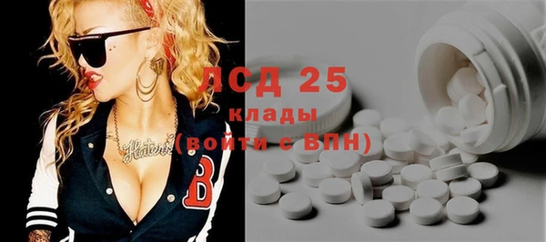 молекула духа Козельск
