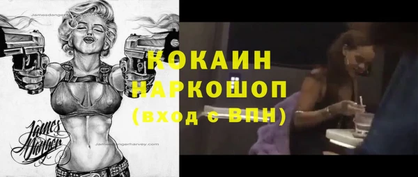 молекула духа Козельск