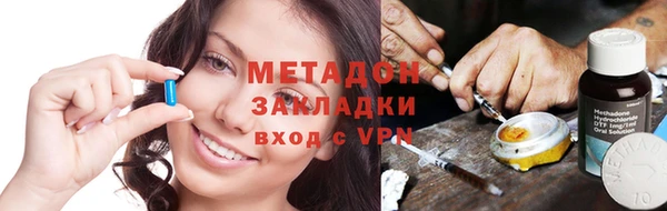 шишки Кодинск