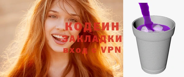 шишки Кодинск
