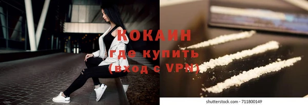 молекула духа Козельск