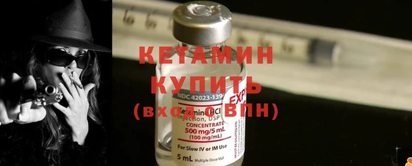шишки Кодинск