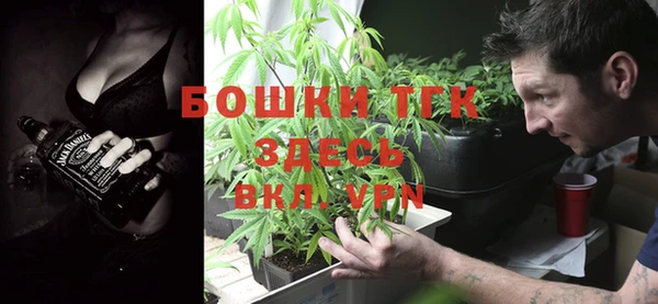 шишки Кодинск